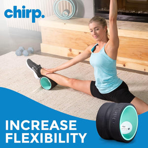 6” Deep Tissue Wheel+ for Back Pain, Stretches and Strengthens