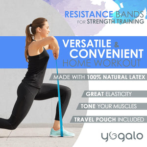 Pilates Series Pilates Ring - Toning, Sculpting, Strength Flexibility