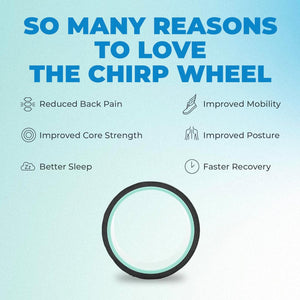 6” Deep Tissue Wheel+ for Back Pain, Stretches and Strengthens