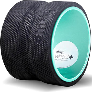 6” Deep Tissue Wheel+ for Back Pain, Stretches and Strengthens